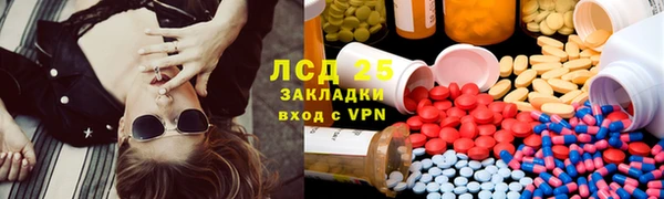 таблы Гусев