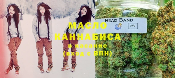 таблы Гусев