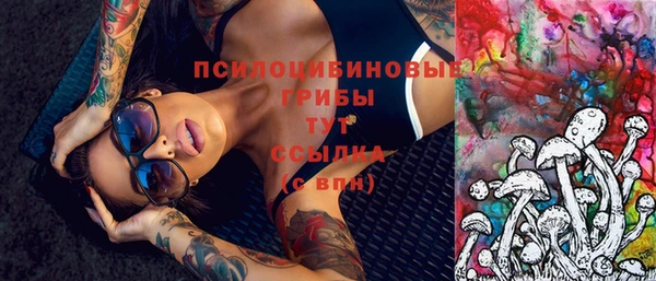 гидропоника Покровск