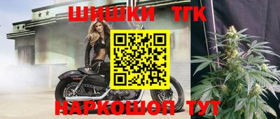 СК Заводоуковск