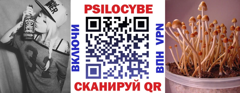 Псилоцибиновые грибы прущие грибы  Коркино 