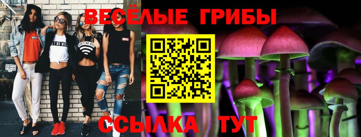 Коркино  Псилоцибиновые грибы Psilocybine cubensis  Псилоцибиновые грибы Magic Shrooms  Вход с VPN 